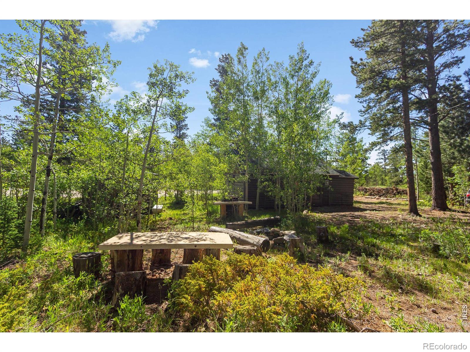 MLS Image #28 for 11614  peak to peak highway,allenspark, Colorado