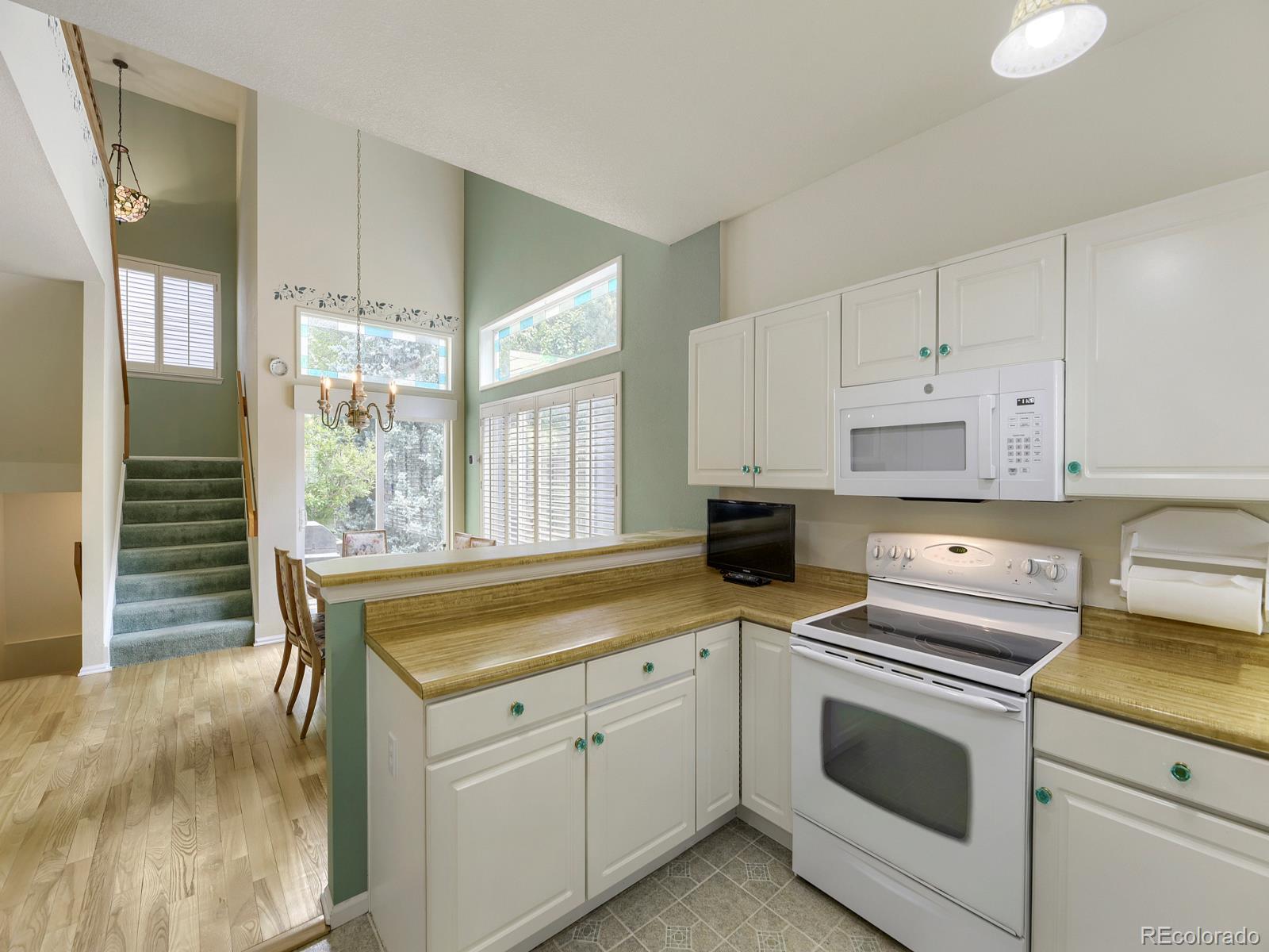 MLS Image #10 for 12932 s carson court,parker, Colorado