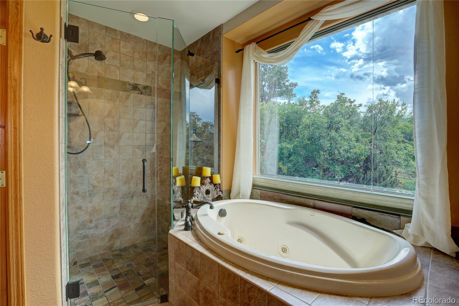 MLS Image #15 for 2941  castle butte drive,castle rock, Colorado