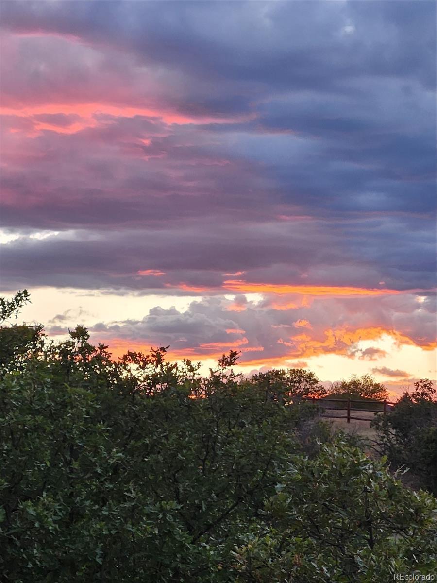 MLS Image #41 for 2941  castle butte drive,castle rock, Colorado