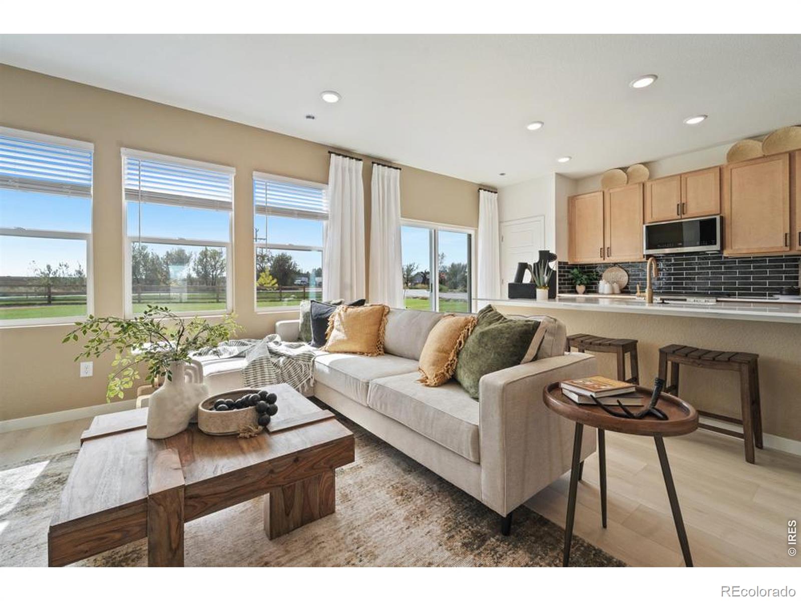 MLS Image #2 for 305  plains parkway,hudson, Colorado