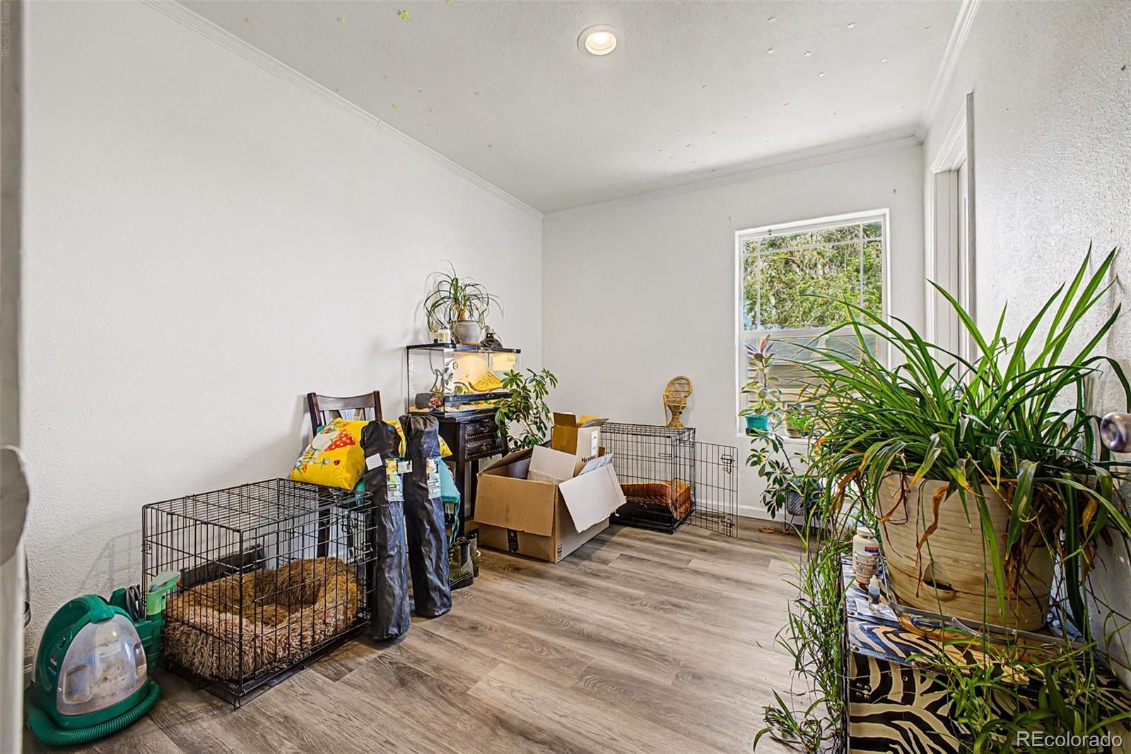 MLS Image #15 for 574  4th street,bennett, Colorado