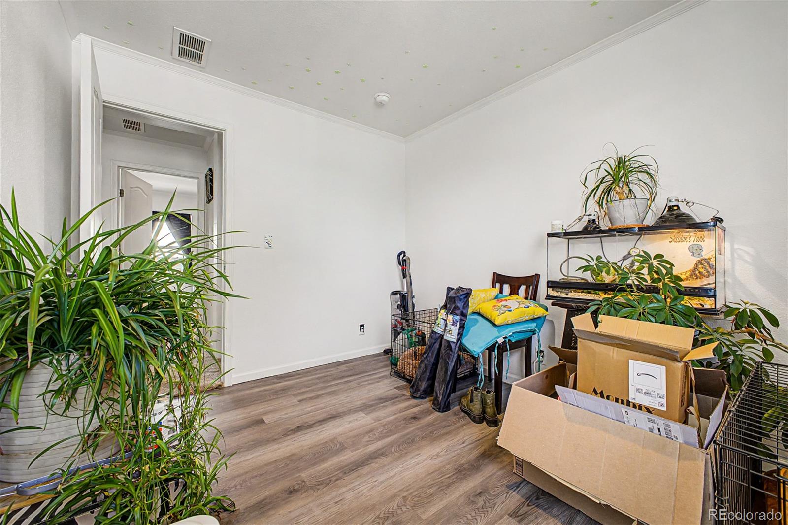 MLS Image #16 for 574  4th street,bennett, Colorado