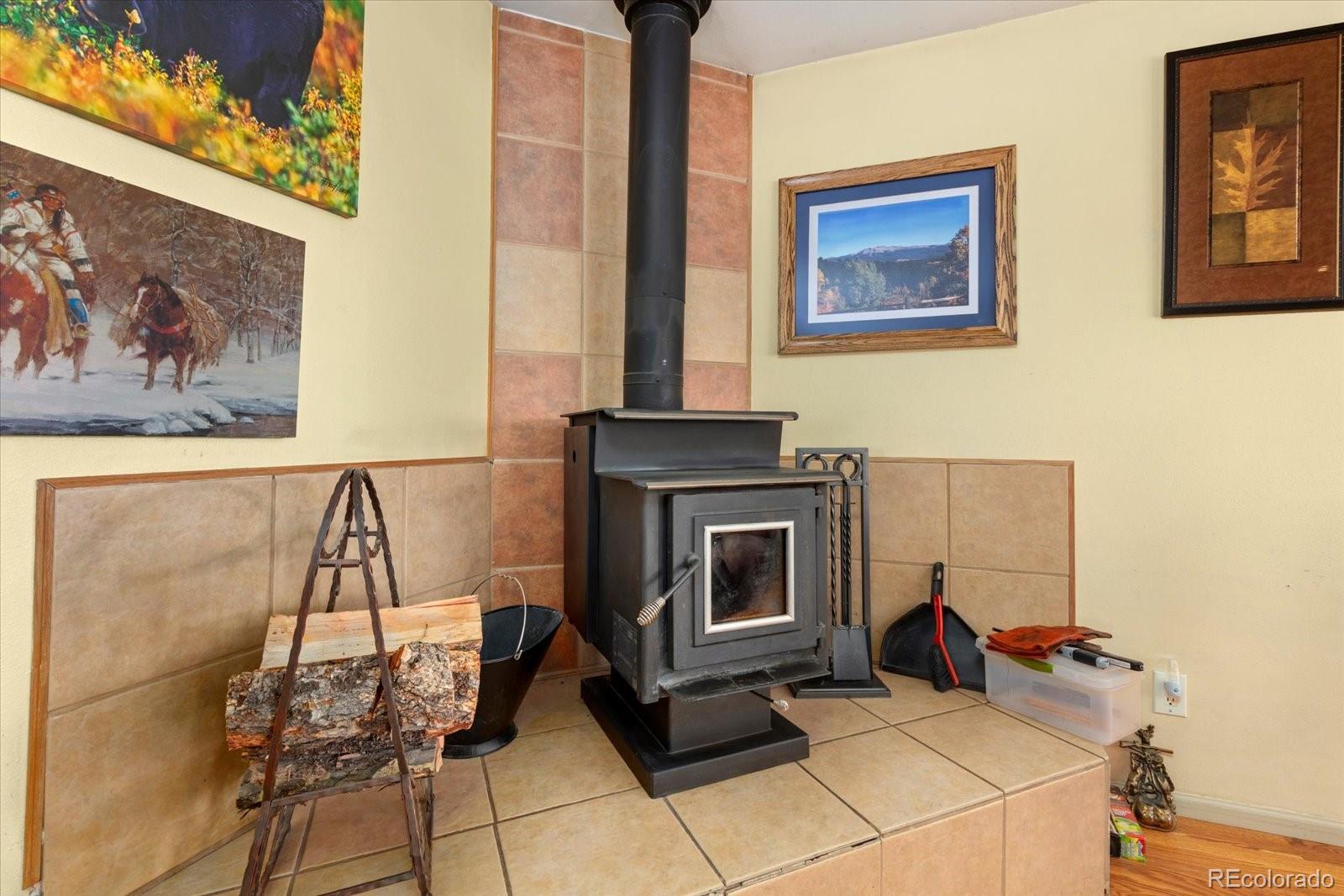 MLS Image #10 for 1799  pitchfork road,hartsel, Colorado