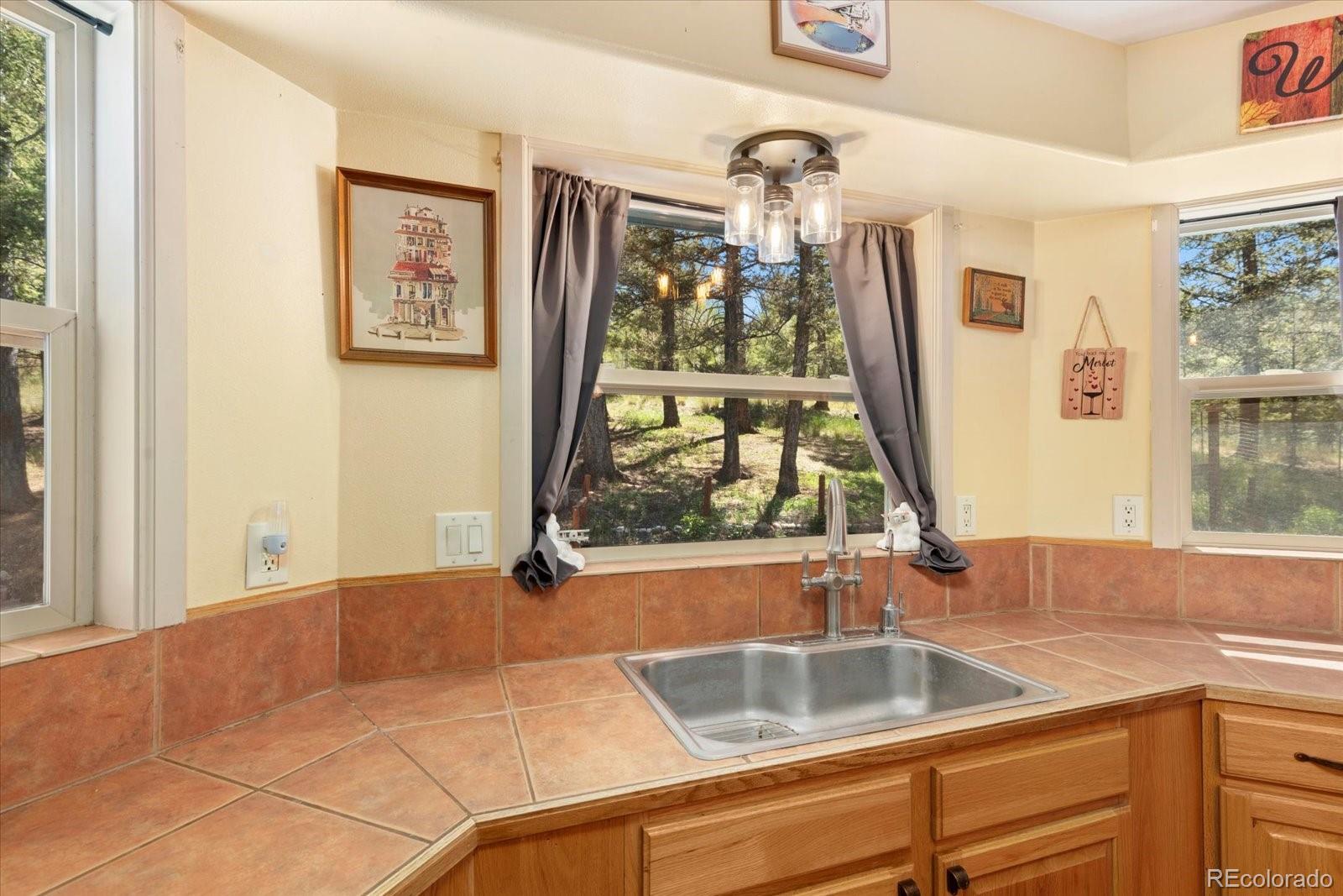 MLS Image #18 for 1799  pitchfork road,hartsel, Colorado