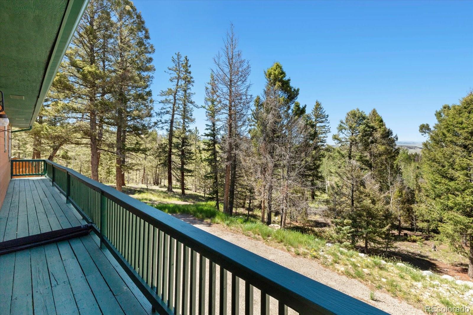 MLS Image #22 for 1799  pitchfork road,hartsel, Colorado
