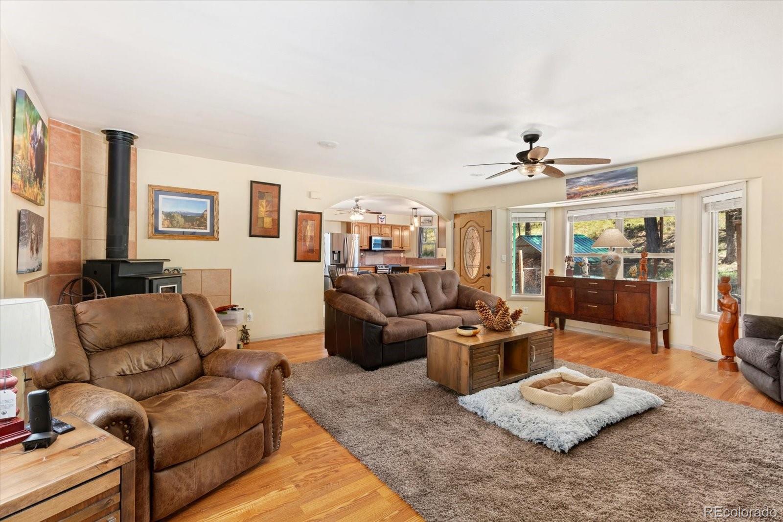 MLS Image #8 for 1799  pitchfork road,hartsel, Colorado