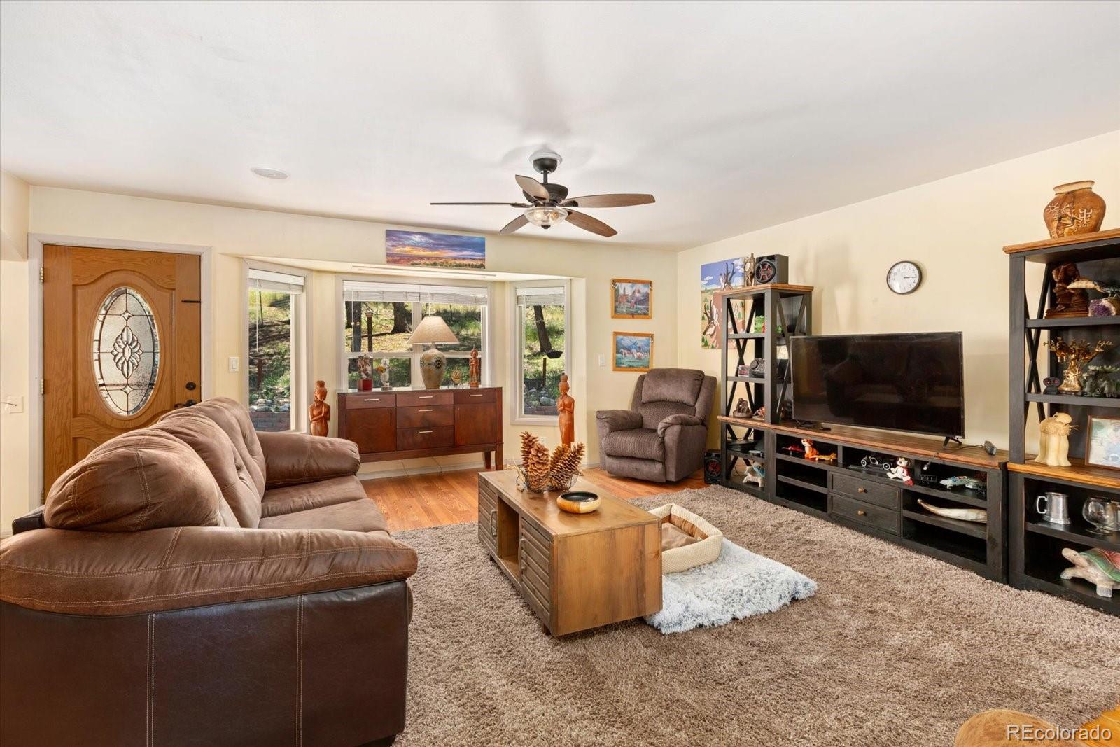MLS Image #9 for 1799  pitchfork road,hartsel, Colorado