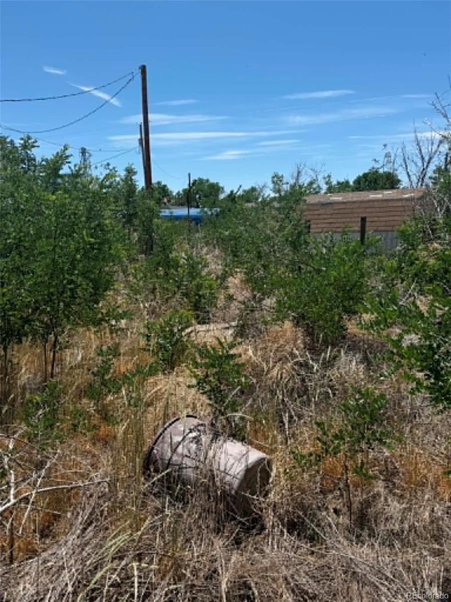 MLS Image #10 for 406  second street,roggen, Colorado