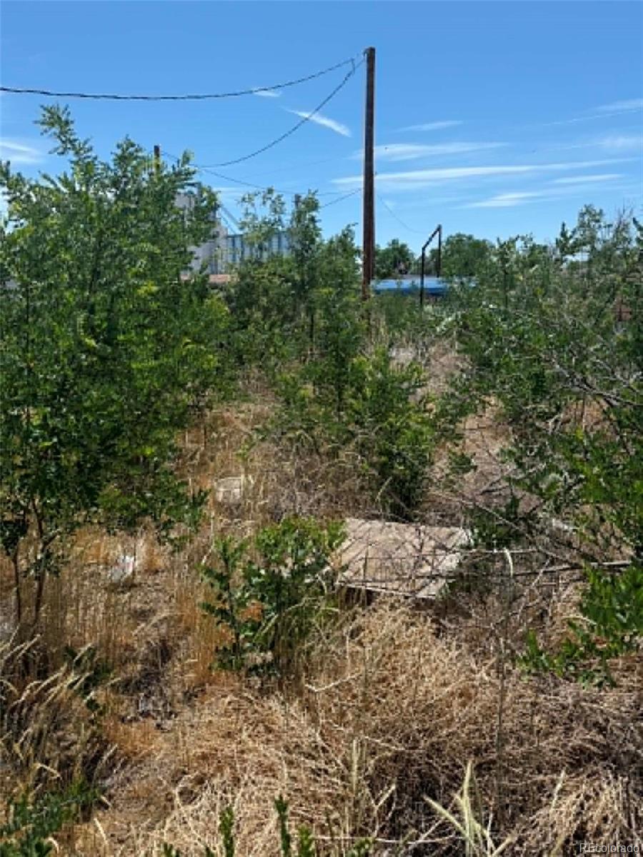 MLS Image #11 for 406  second street,roggen, Colorado