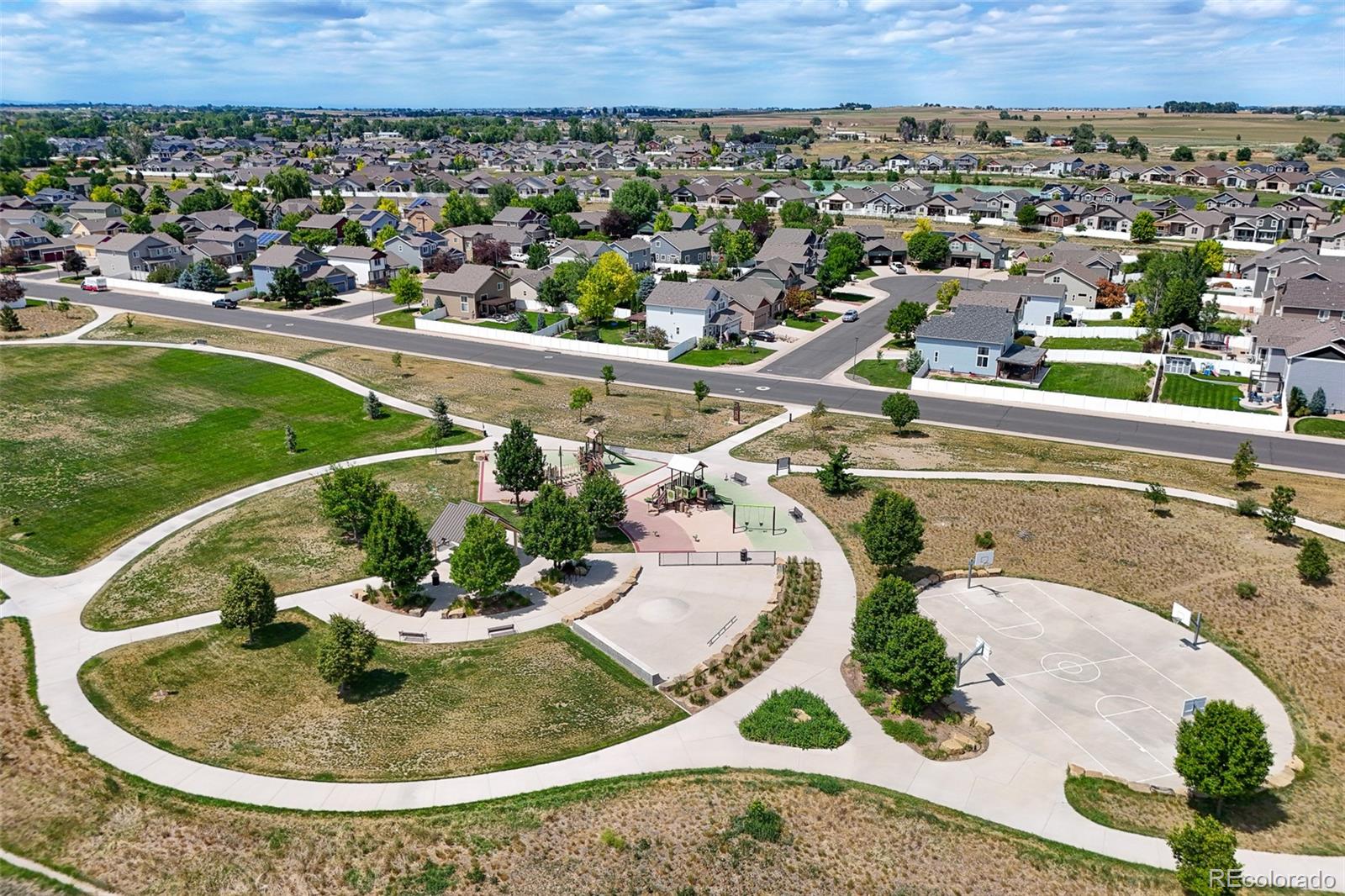 MLS Image #14 for 563  kenai court,windsor, Colorado