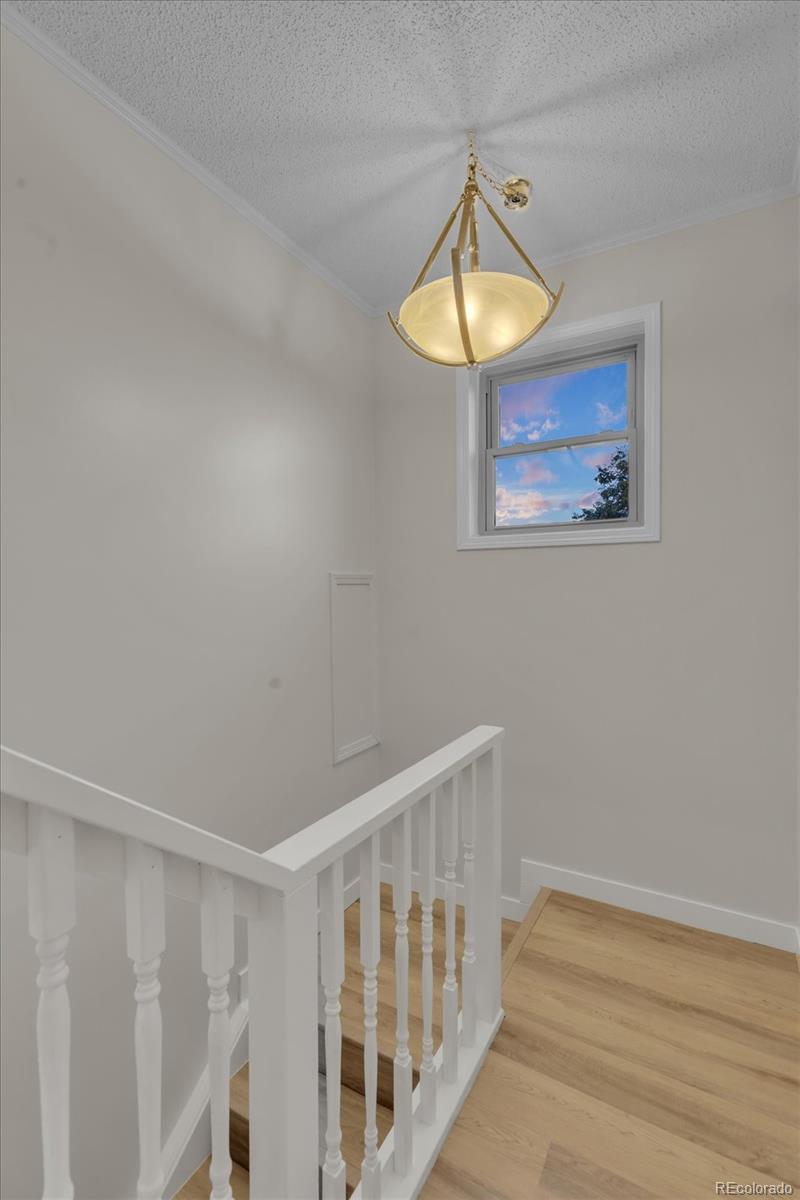 MLS Image #23 for 9696  downing street,denver, Colorado