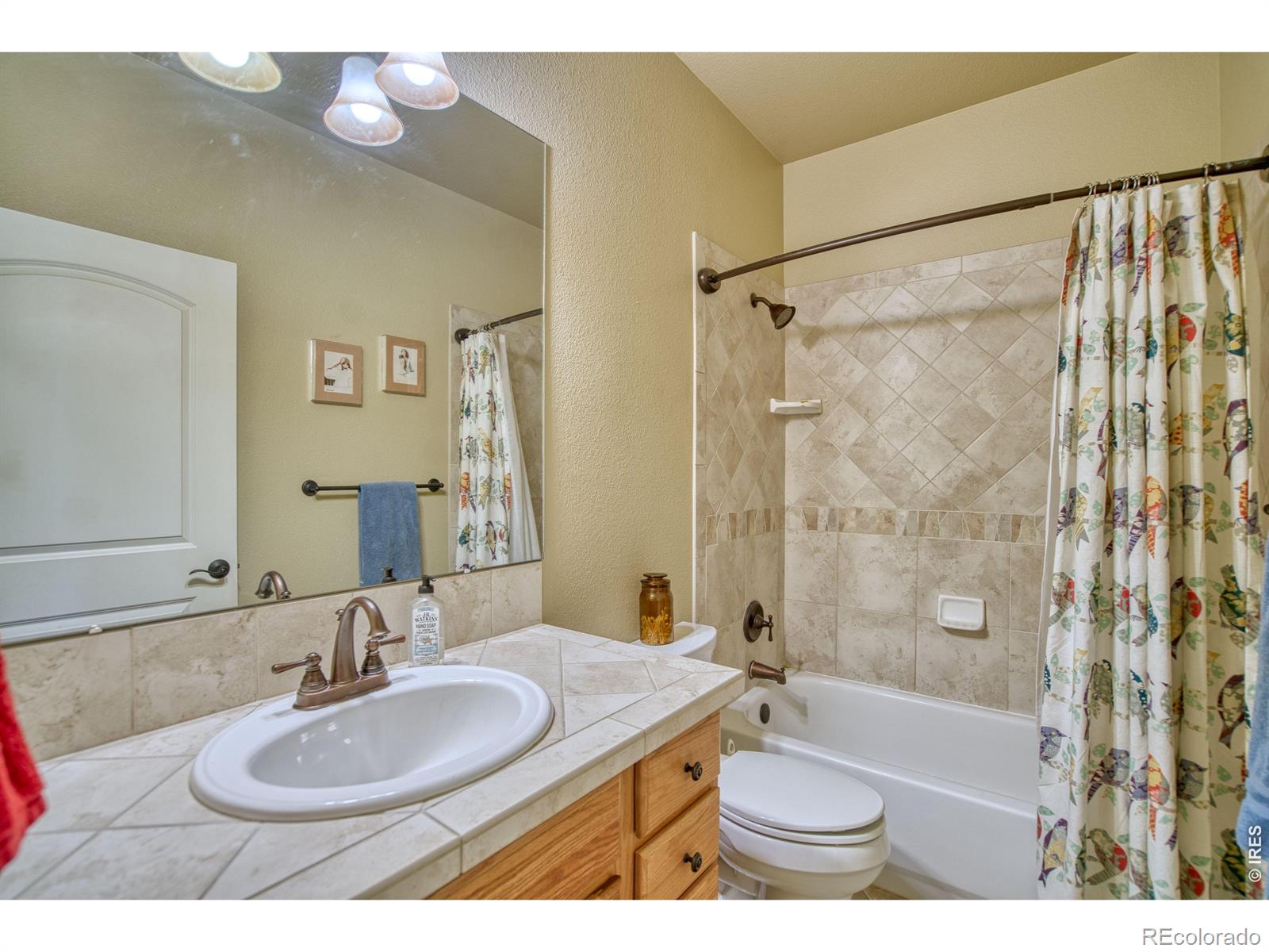 MLS Image #21 for 624  park pl dr,brighton, Colorado