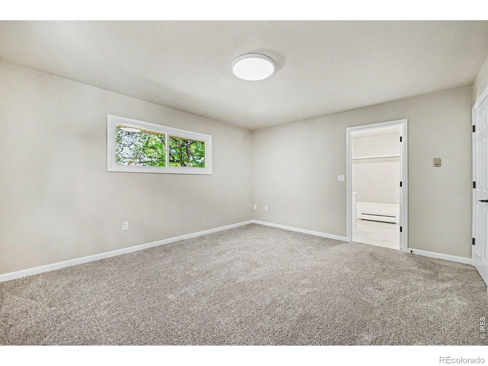 MLS Image #19 for 3004  duffield avenue,loveland, Colorado
