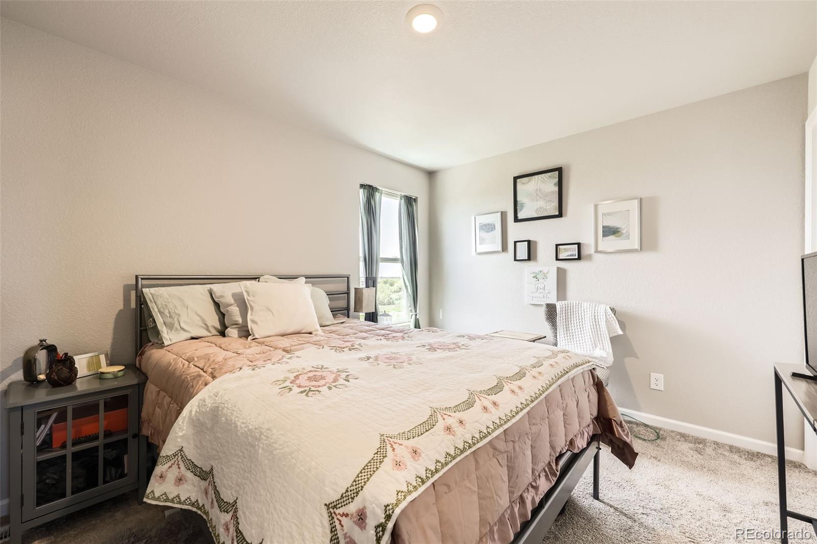 MLS Image #13 for 1063  gianna avenue,fort lupton, Colorado