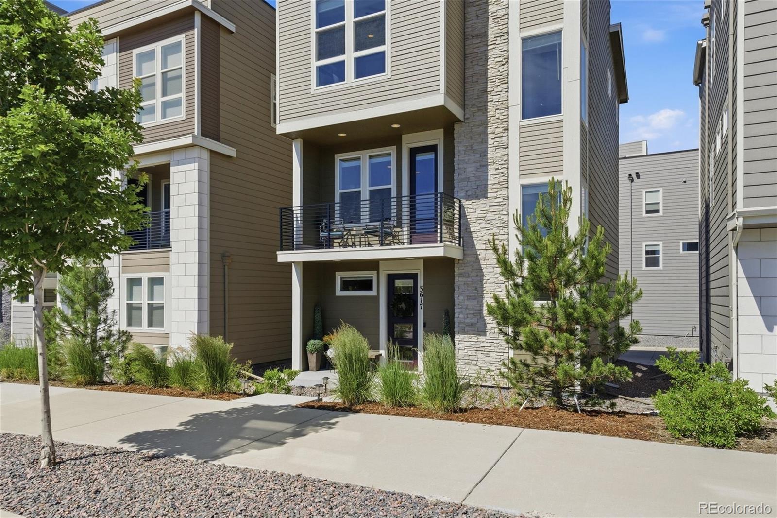 MLS Image #39 for 3617  mykonos drive,castle rock, Colorado