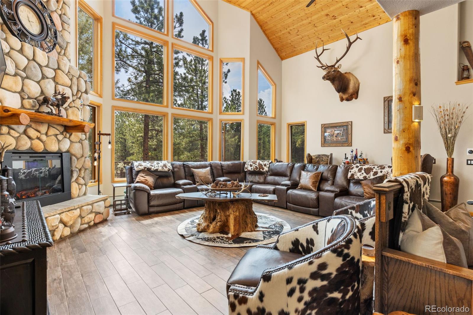 MLS Image #12 for 1734  mount evans boulevard,pine, Colorado