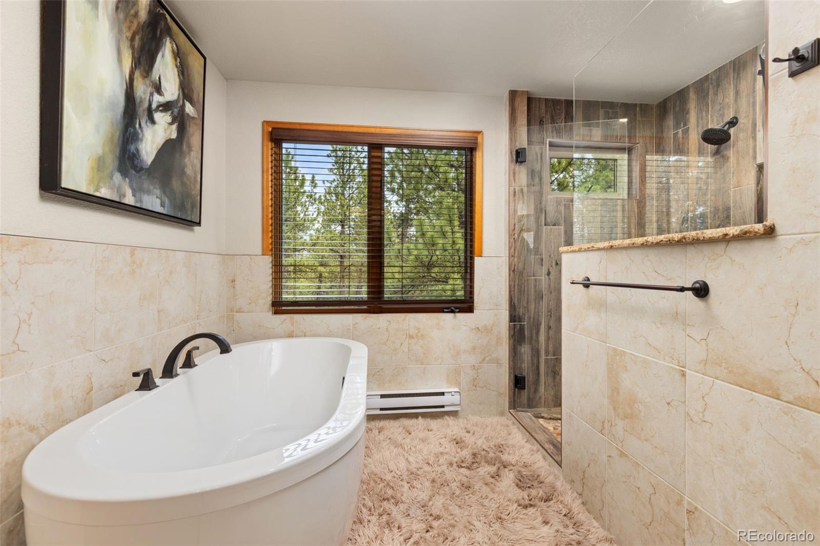 MLS Image #22 for 1734  mount evans boulevard,pine, Colorado