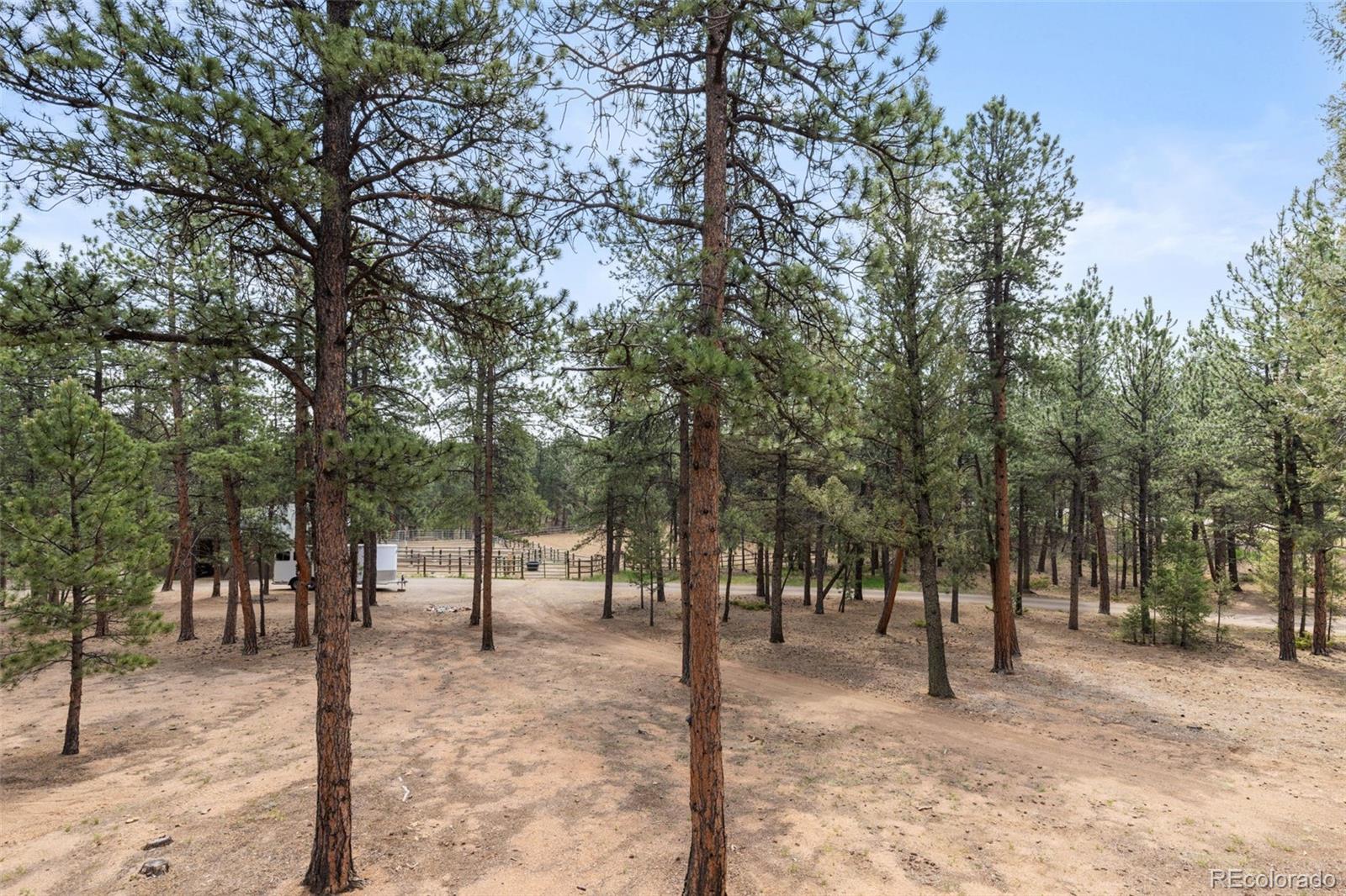 MLS Image #35 for 1734  mount evans boulevard,pine, Colorado
