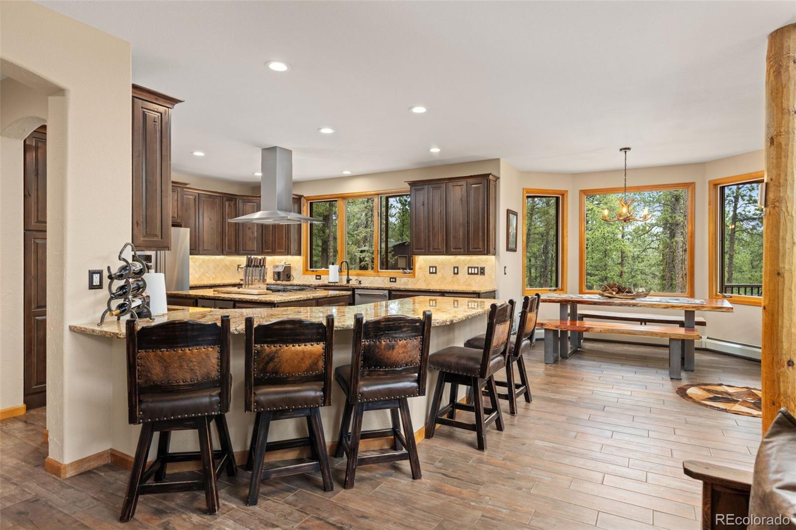 MLS Image #4 for 1734  mount evans boulevard,pine, Colorado