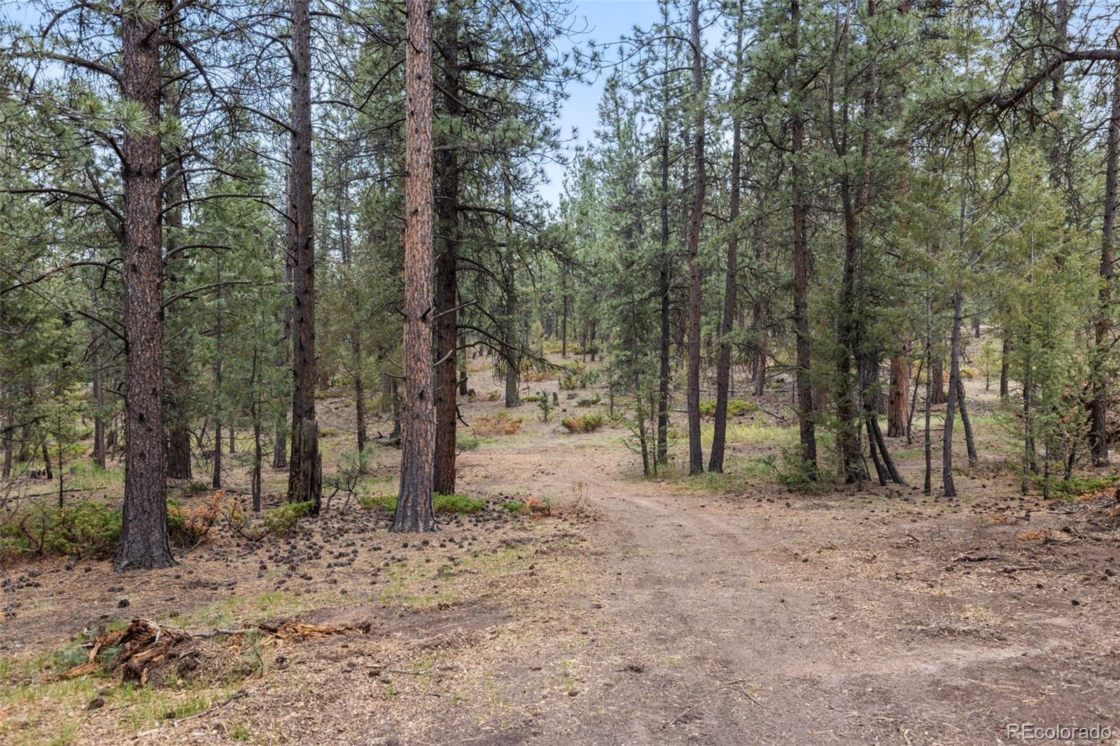 MLS Image #42 for 1734  mount evans boulevard,pine, Colorado