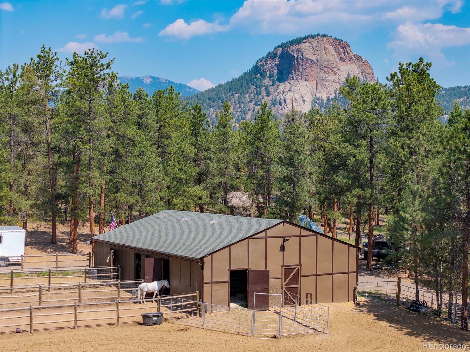 MLS Image #5 for 1734  mount evans boulevard,pine, Colorado