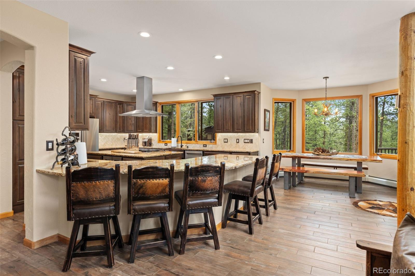 MLS Image #8 for 1734  mount evans boulevard,pine, Colorado
