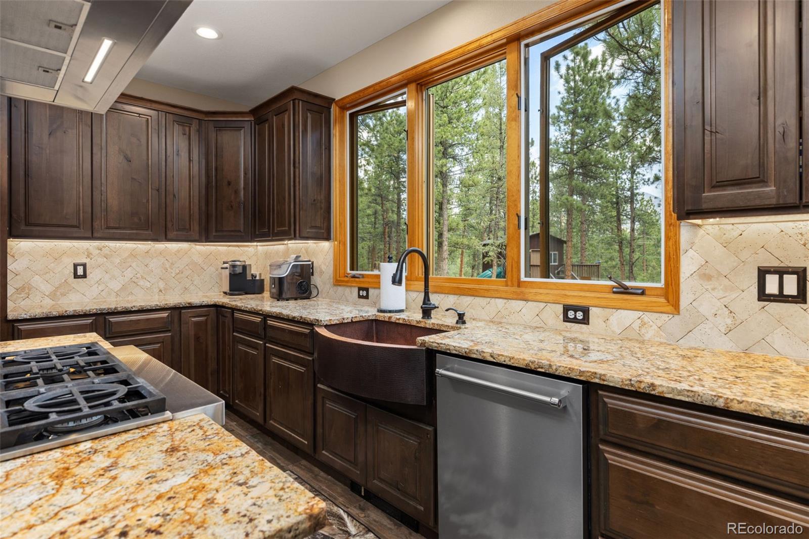 MLS Image #9 for 1734  mount evans boulevard,pine, Colorado