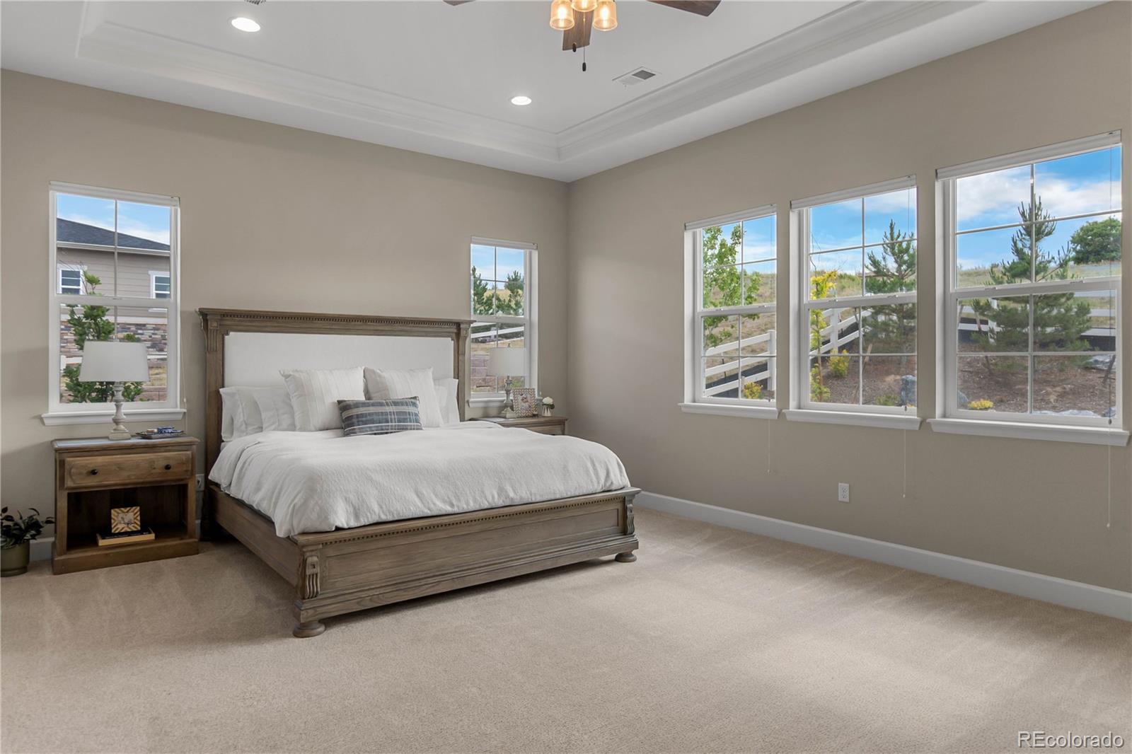 MLS Image #18 for 4227  hickory oaks street,castle rock, Colorado