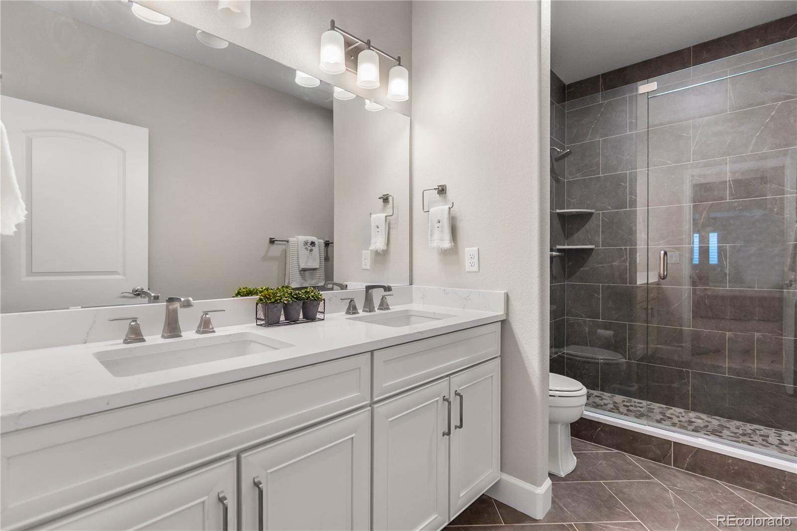 MLS Image #40 for 4227  hickory oaks street,castle rock, Colorado