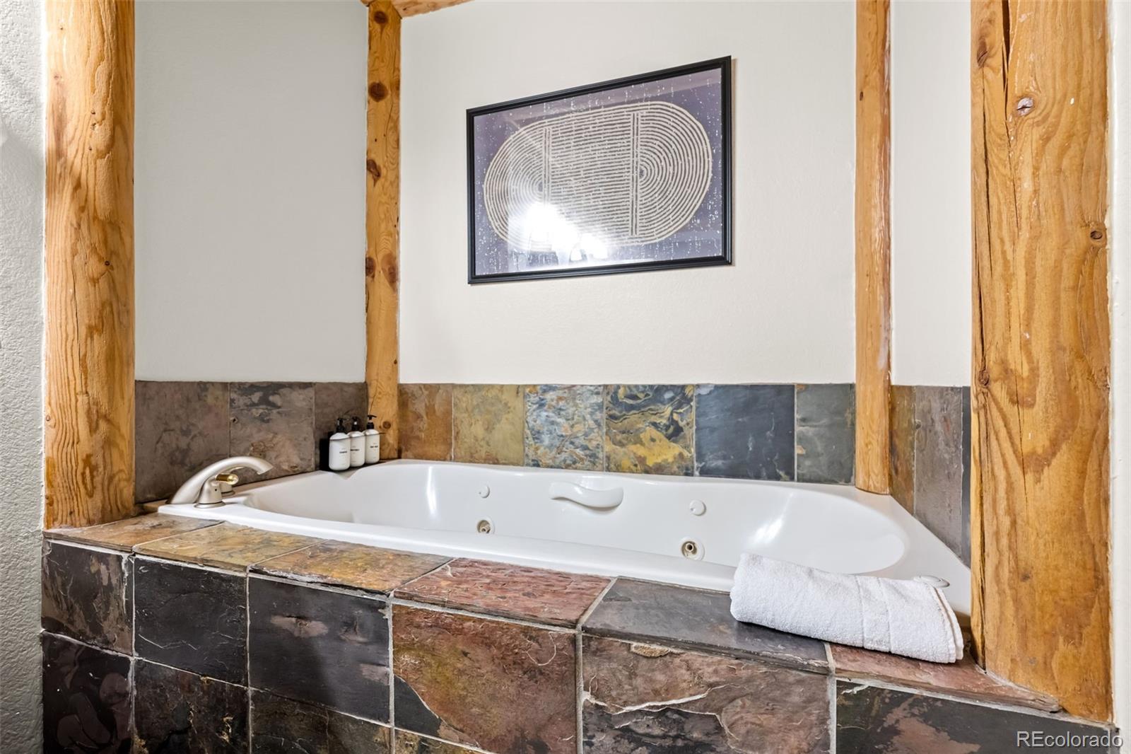 MLS Image #20 for 4825  colorado 103 ,idaho springs, Colorado