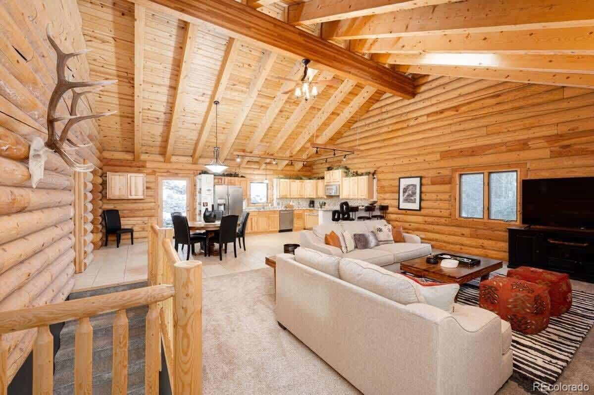 MLS Image #22 for 4825  colorado 103 ,idaho springs, Colorado