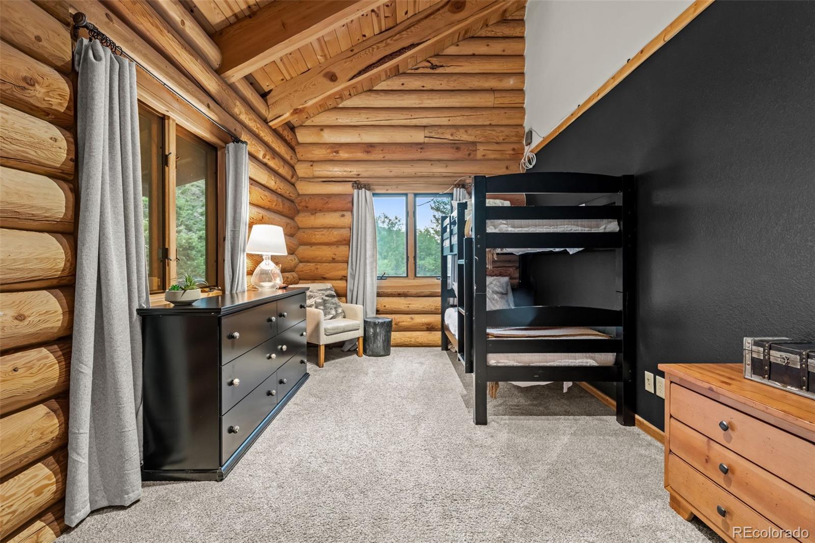 MLS Image #23 for 4825  colorado 103 ,idaho springs, Colorado