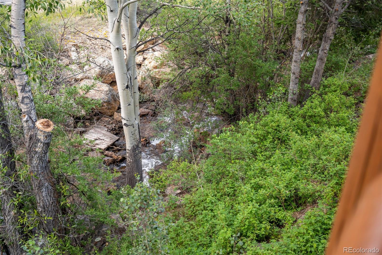 MLS Image #24 for 4825  colorado 103 ,idaho springs, Colorado