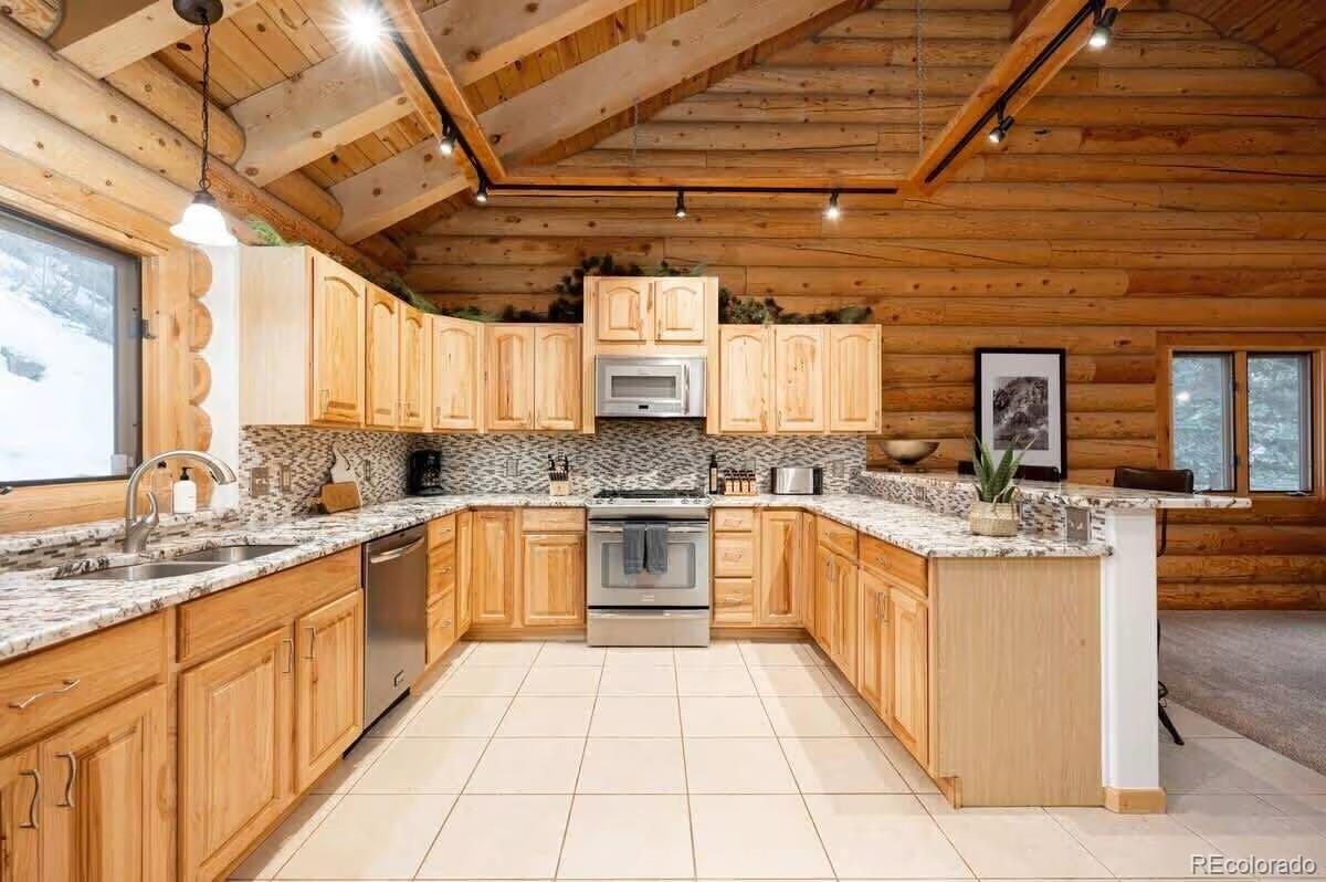 MLS Image #3 for 4825  colorado 103 ,idaho springs, Colorado