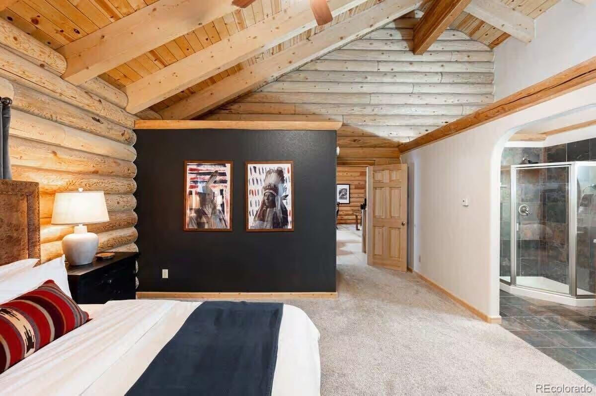 MLS Image #9 for 4825  colorado 103 ,idaho springs, Colorado