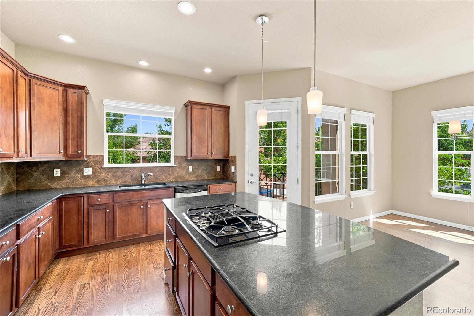 MLS Image #10 for 7821  vallagio lane,englewood, Colorado