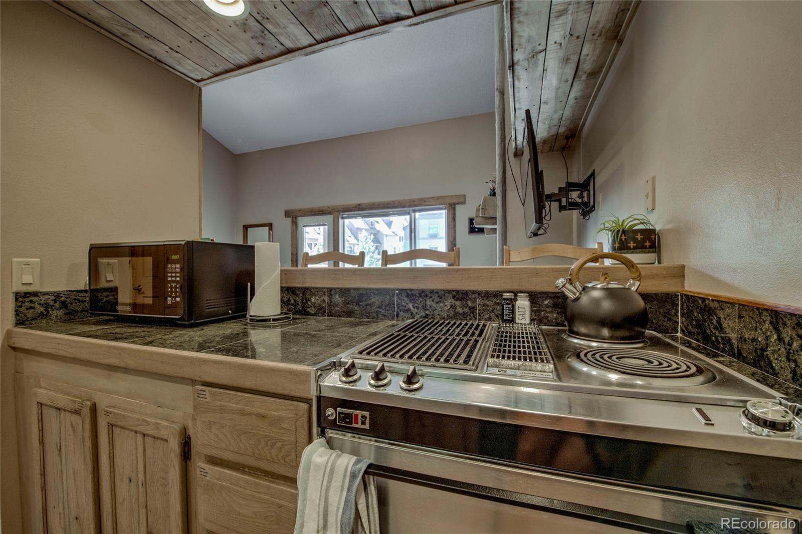 MLS Image #14 for 600 s park avenue,breckenridge, Colorado