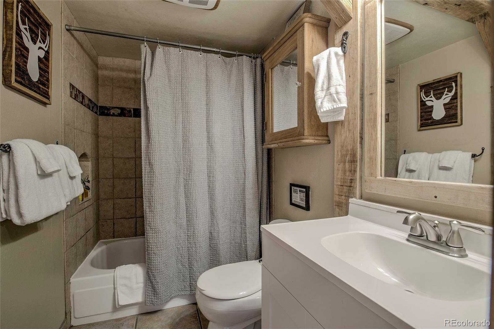 MLS Image #17 for 600 s park avenue,breckenridge, Colorado