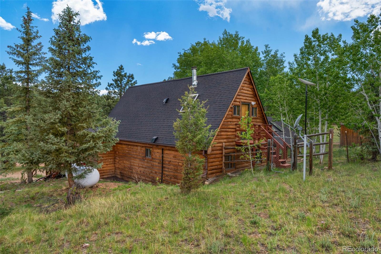 MLS Image #1 for 215 s valley drive,lake george, Colorado