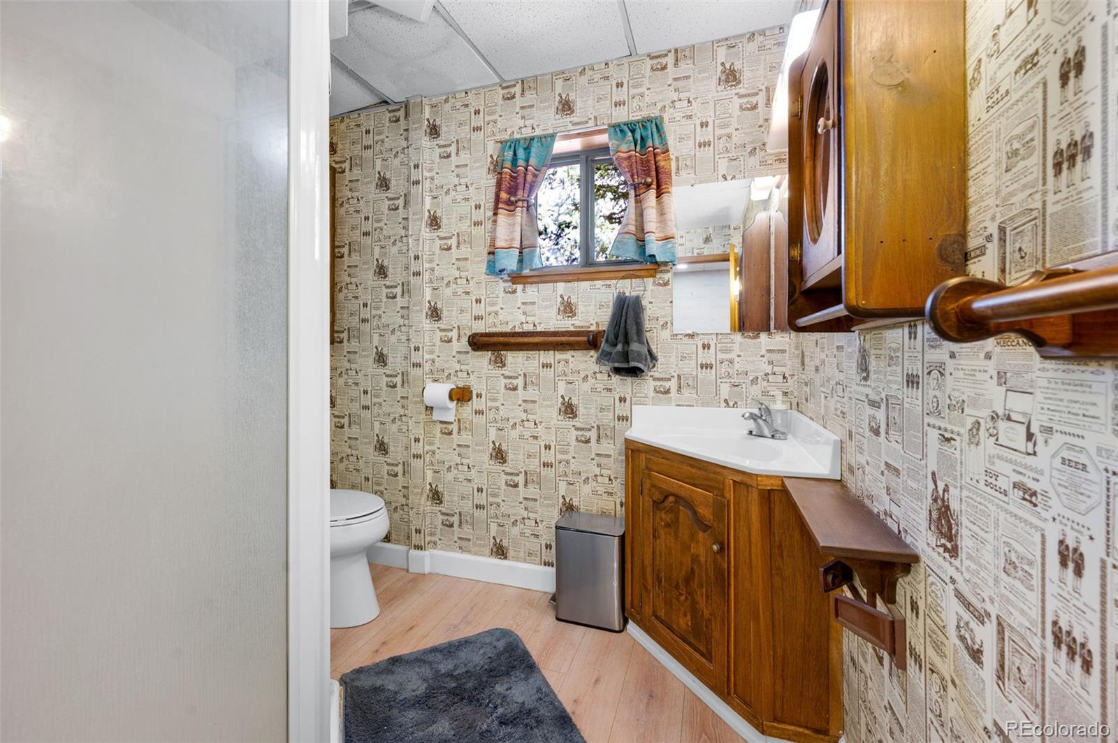 MLS Image #16 for 215 s valley drive,lake george, Colorado
