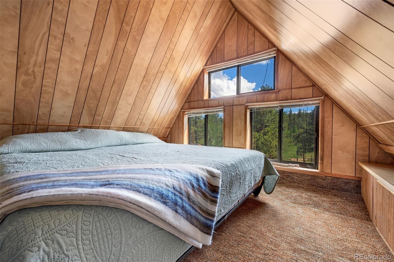 MLS Image #21 for 215 s valley drive,lake george, Colorado