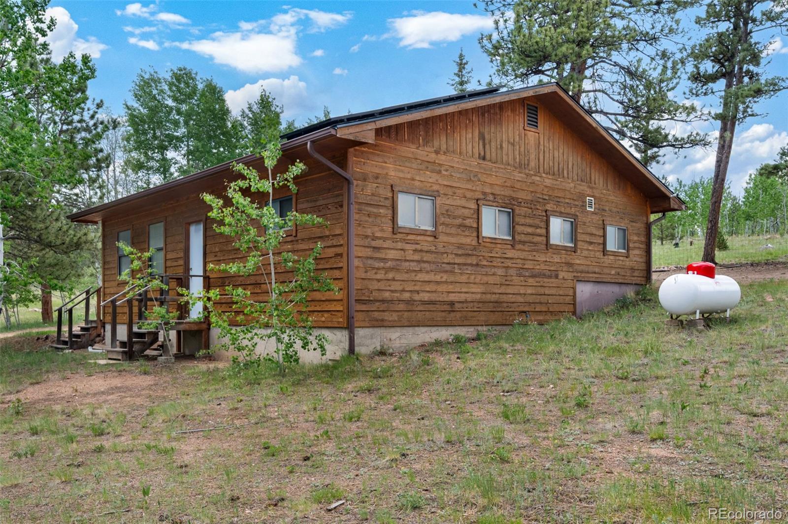 MLS Image #24 for 215 s valley drive,lake george, Colorado