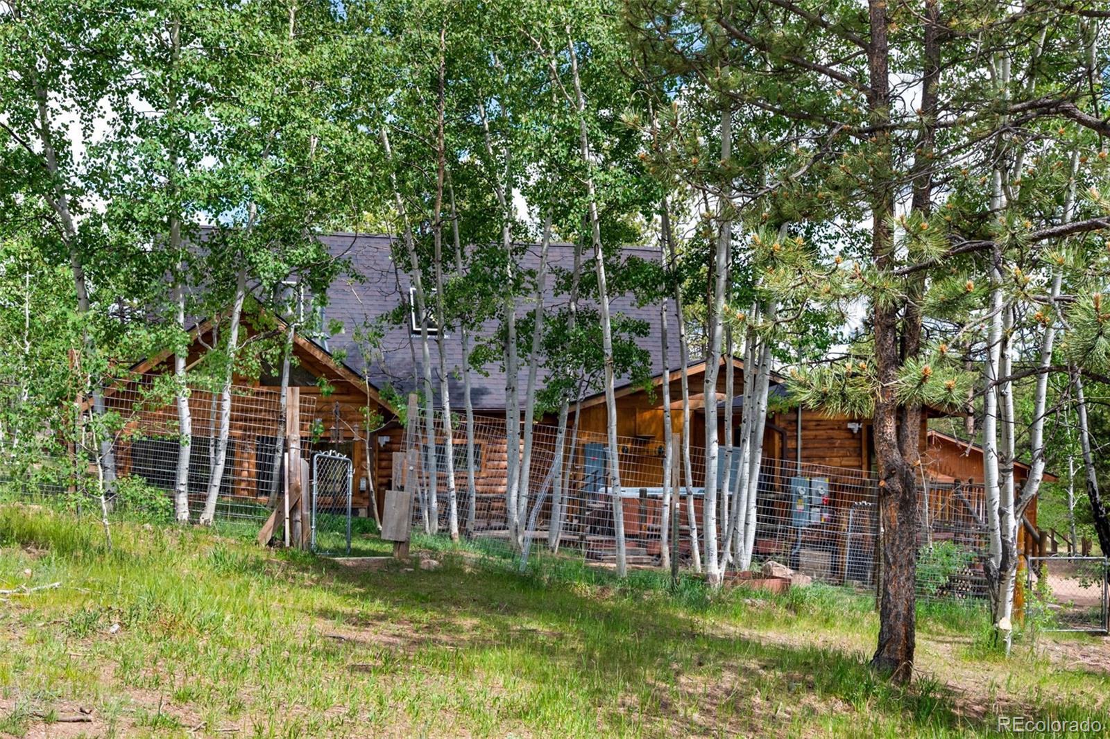 MLS Image #25 for 215 s valley drive,lake george, Colorado