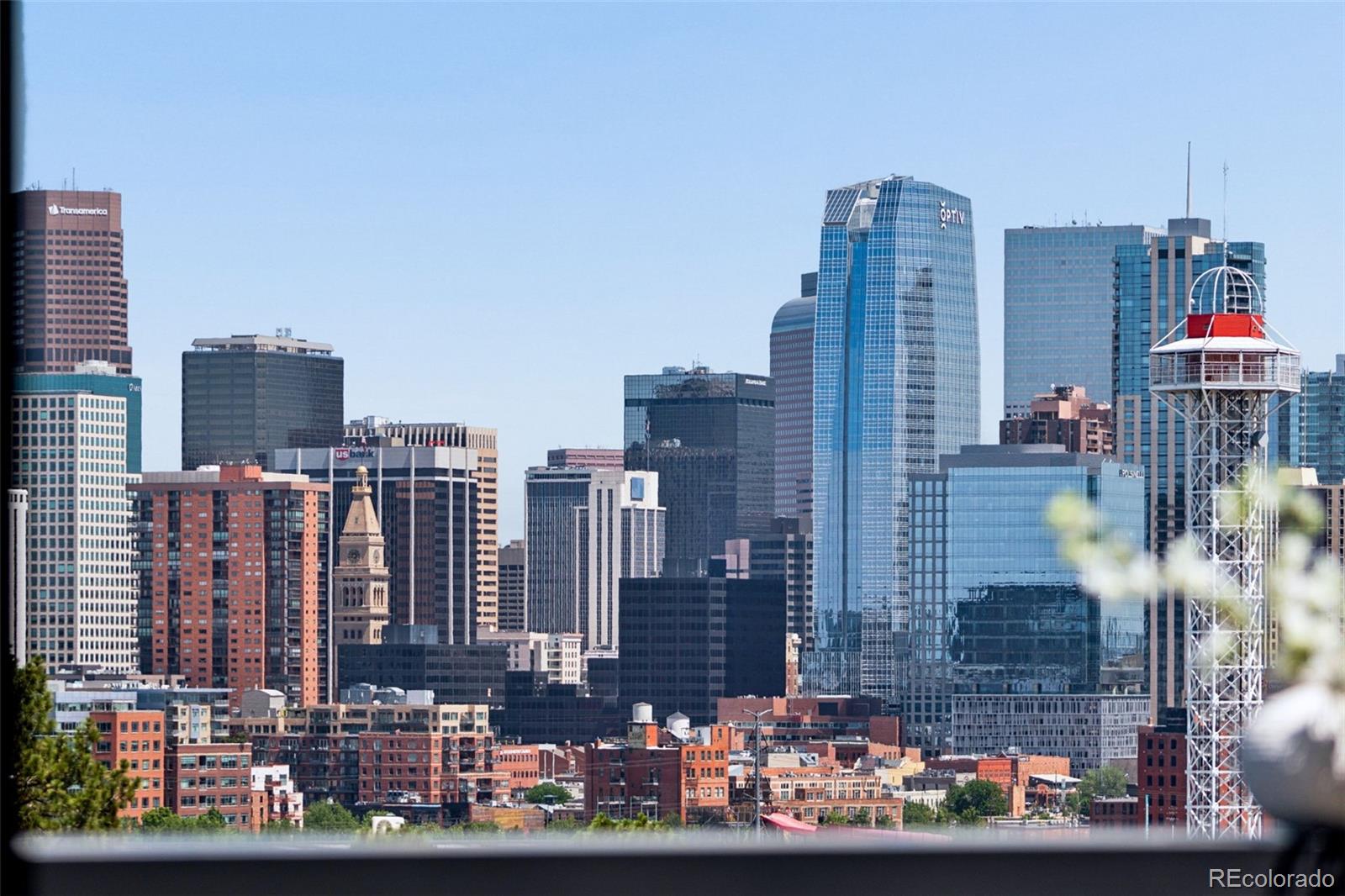MLS Image #39 for 2515  bryant street ,denver, Colorado