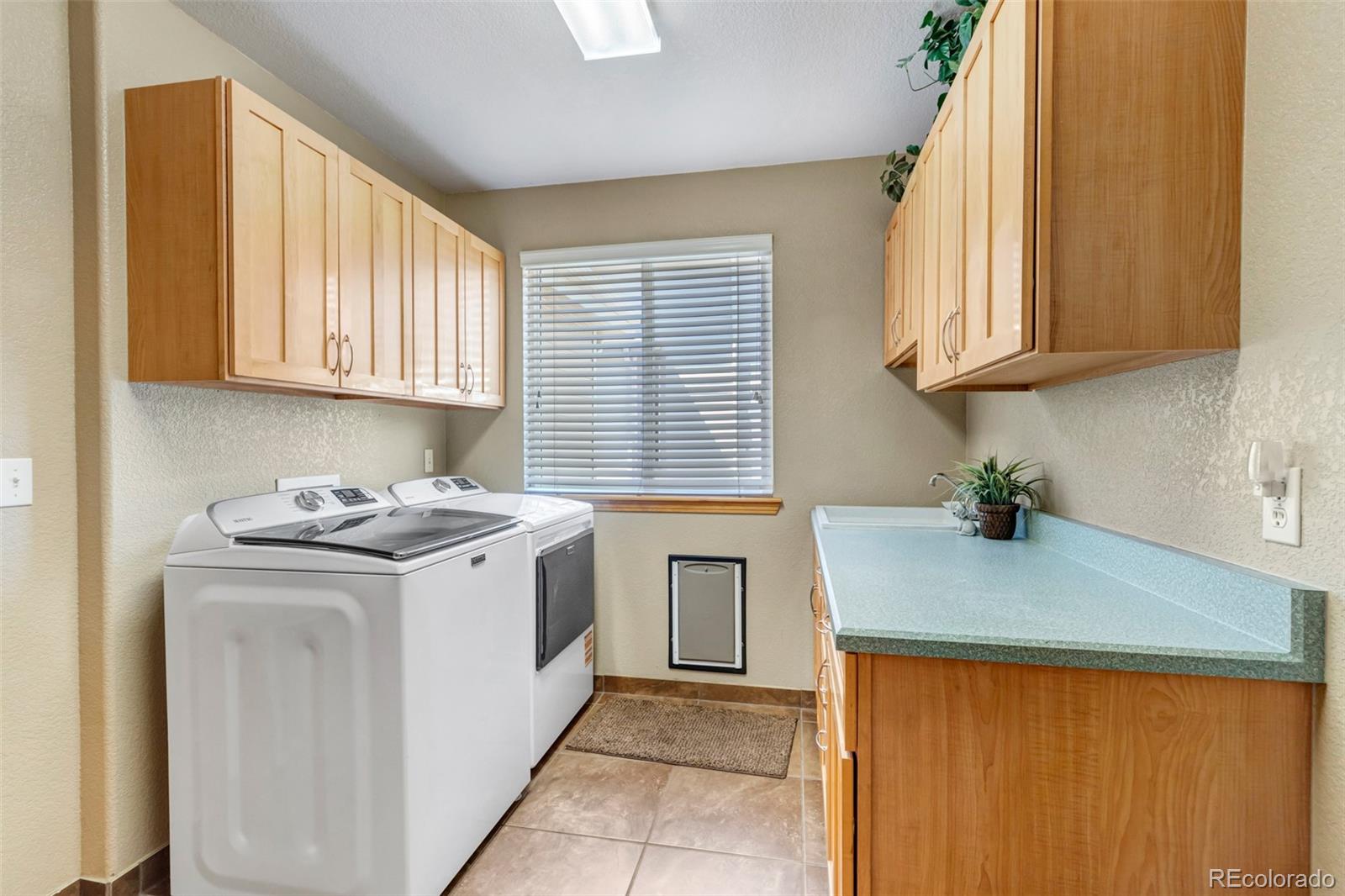 MLS Image #26 for 8466 s nelson street,littleton, Colorado