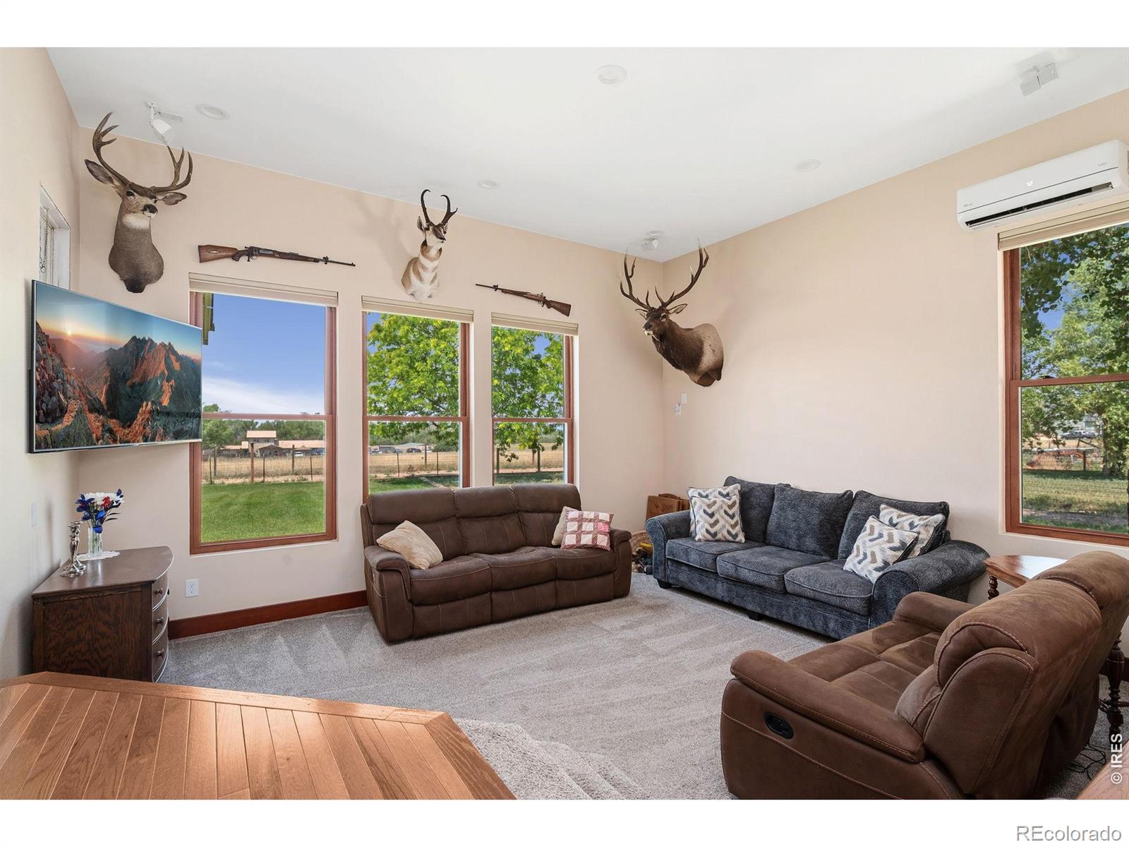 MLS Image #12 for 6291  county road 20 ,longmont, Colorado