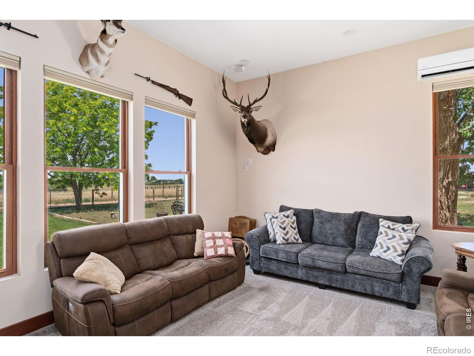 MLS Image #17 for 6291  county road 20 ,longmont, Colorado