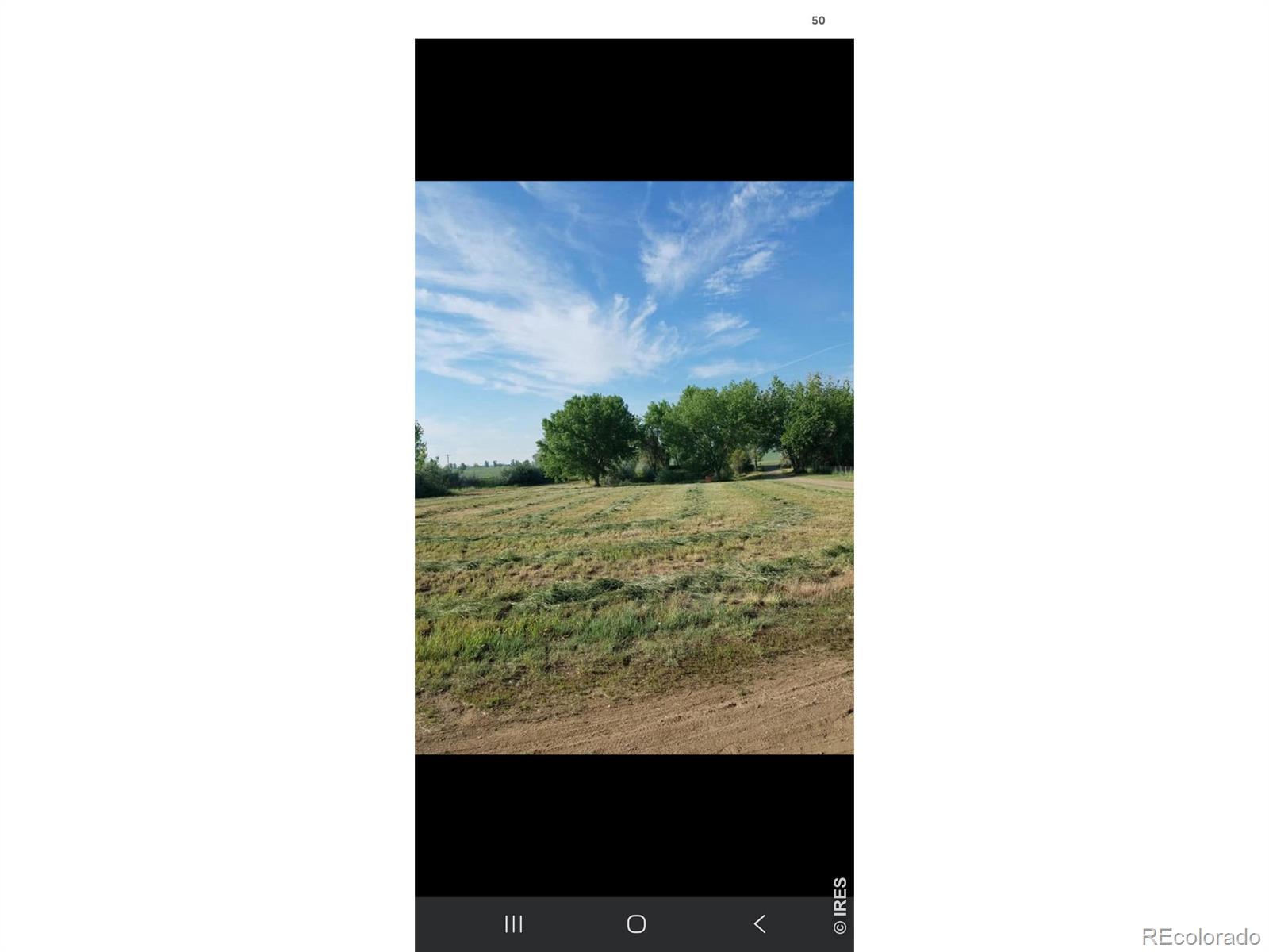 MLS Image #47 for 6291  county road 20 ,longmont, Colorado