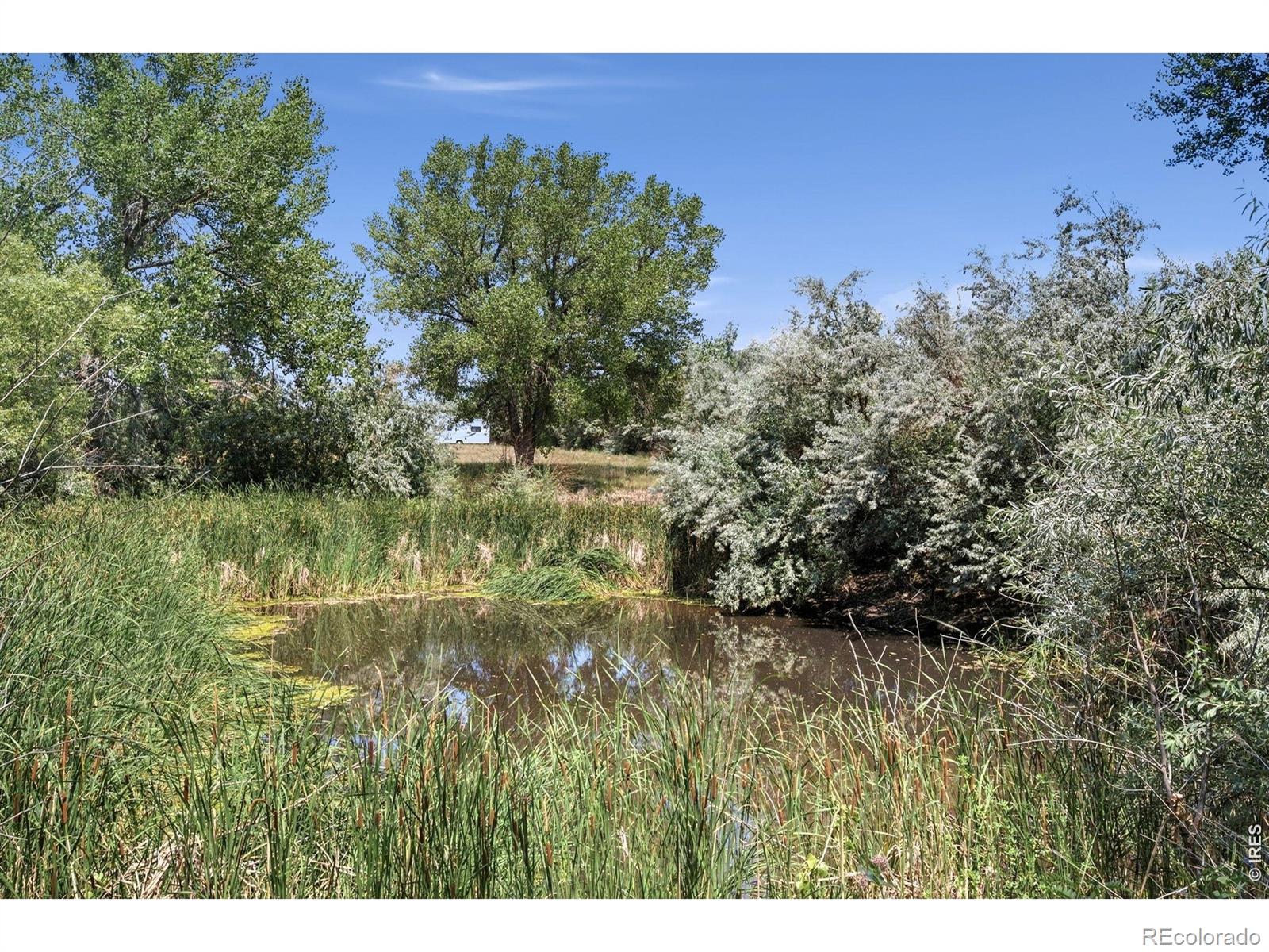 MLS Image #7 for 6291  county road 20 ,longmont, Colorado